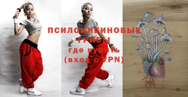 дурь Алексеевка